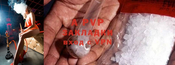 MESCALINE Покачи