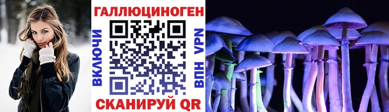 дарнет шоп  Алупка  Галлюциногенные грибы мицелий 